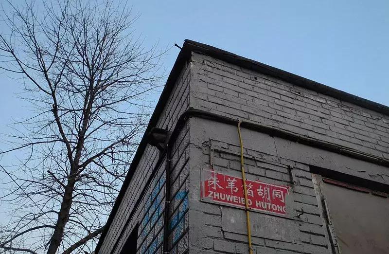 名说北京第二十二期|己亥年来看跟猪有关的胡同