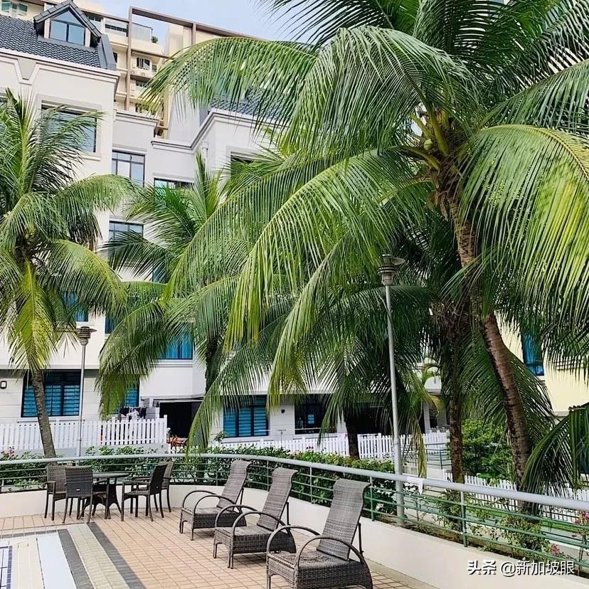 2024年新加坡租房攻略终极指南,新加坡最新租房价格