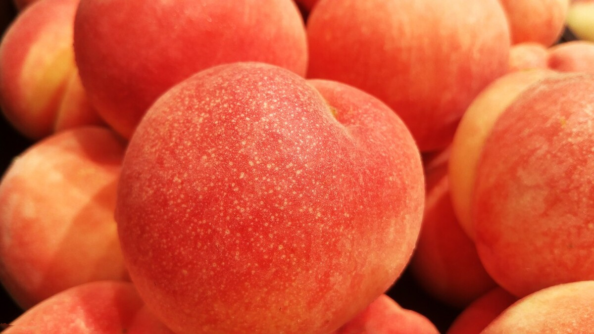 怎么区分黄桃和普通桃子,桃子怎么挑才是最甜的桃