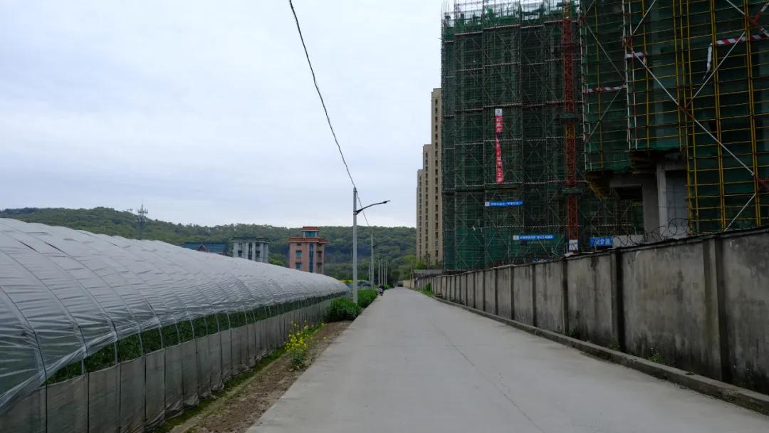 朝闻天下楼盘为什么这么便宜,潮闻天下房价