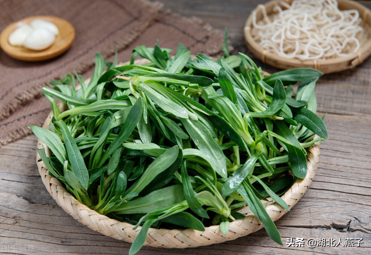常见野菜的种类和图片大全 (各种野菜大全带图片)