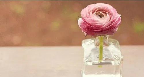 女性清理*处私**时，注意3个细节，炎症和你说拜拜