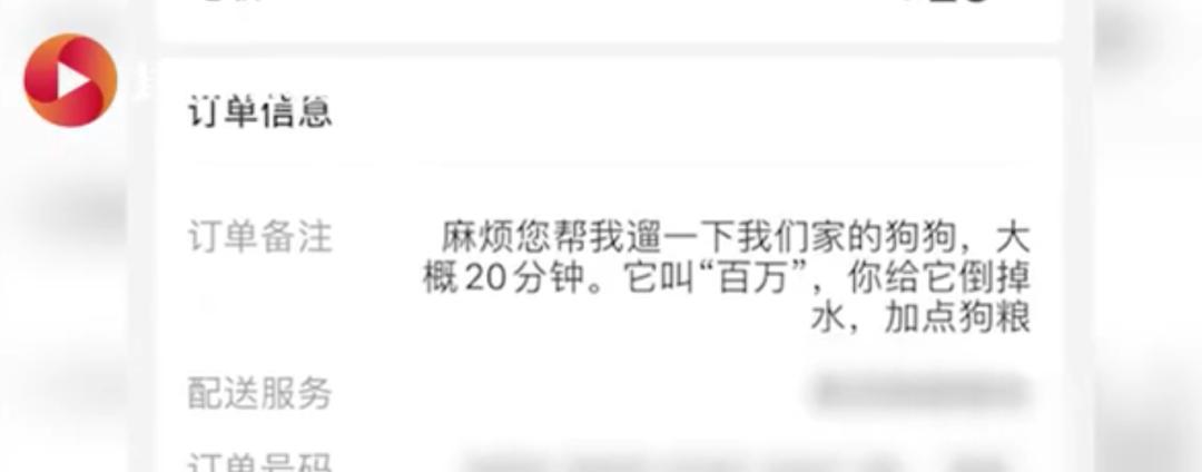 铲屎官领狗狗旅游,铲屎官不在家应该怎么安顿狗狗