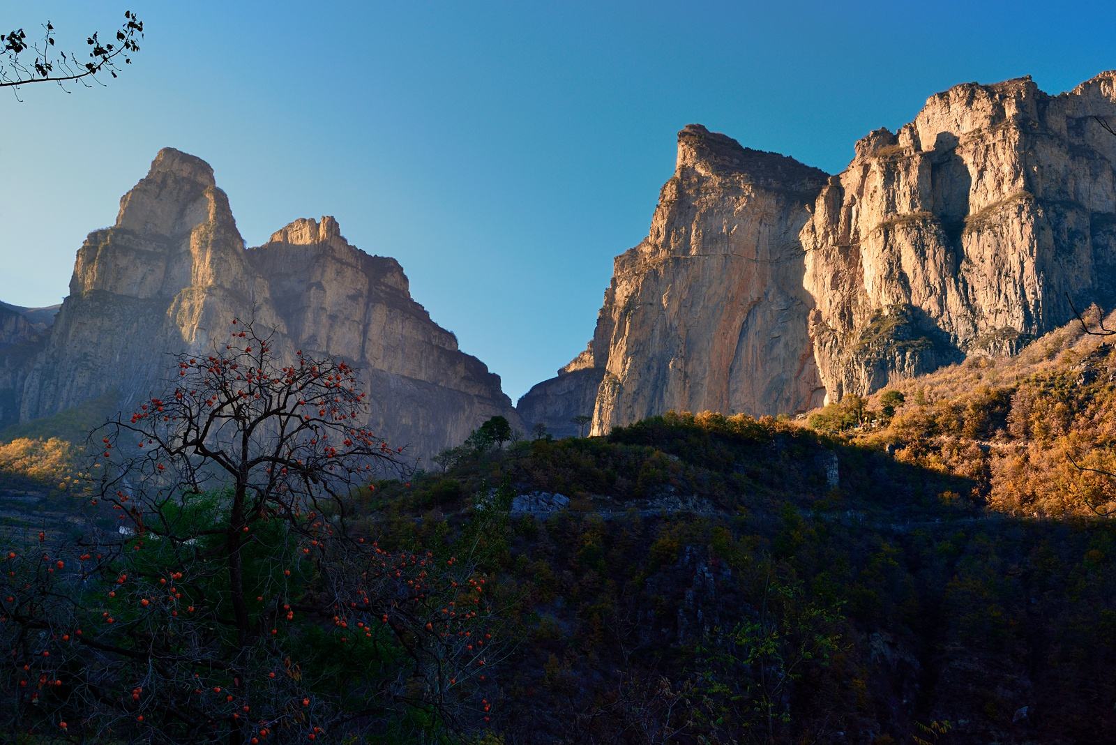 公务员山东省考常识,山东公务员常识考多少个题
