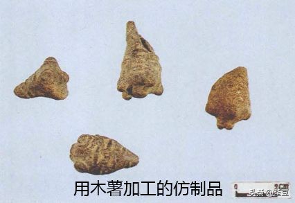 中药材伪品太多，俗有南国神草之称的三七，就有十多种假货