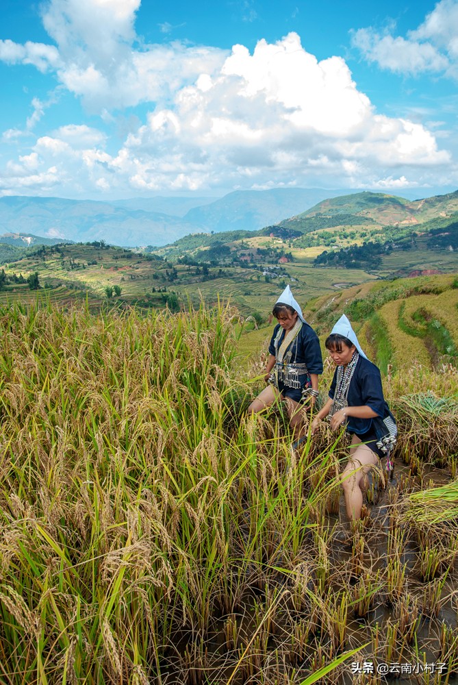 红河州最美哈尼族村寨,红河哈尼族千年梯田