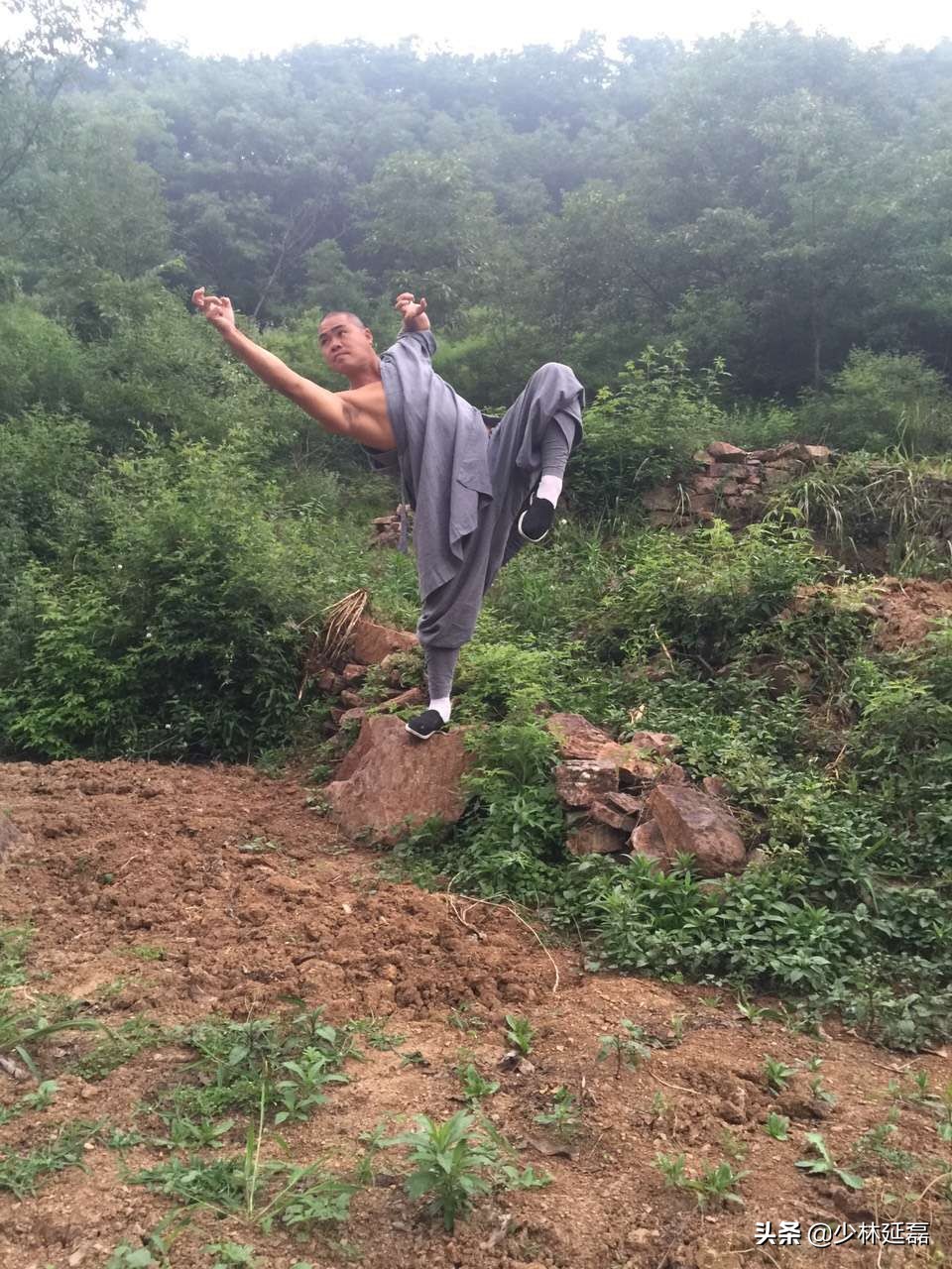 少林武僧释延庄功夫视频,嵩山少林寺释延恪是谁