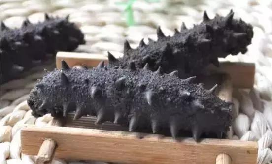 海参不能一概而论,如何选择海参才能最好