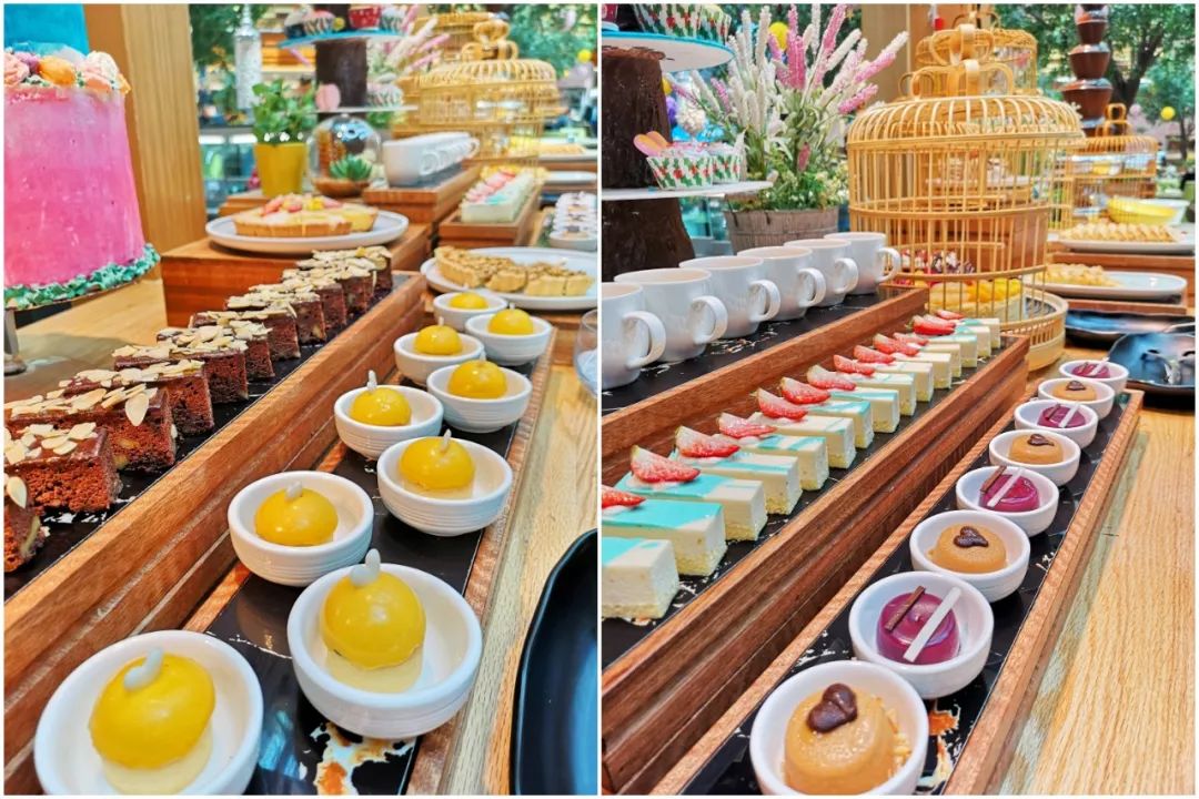 成都海鲜自助餐499元一个,成都生蚝吃到饱自助餐