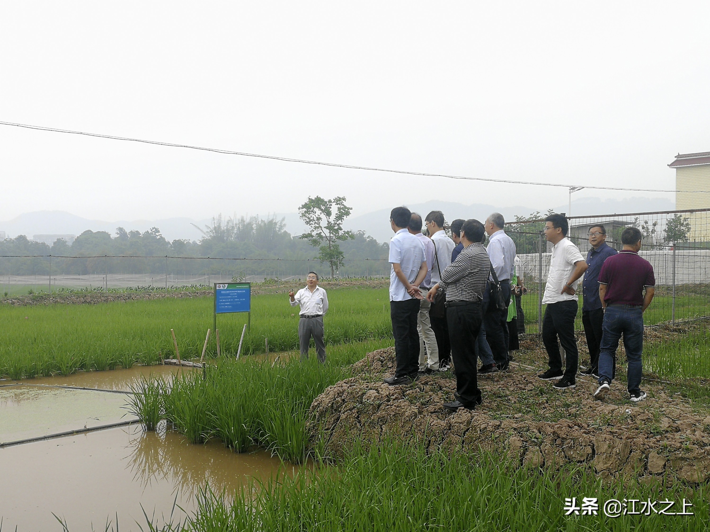 泸州曾经的顶尖科研机构：航天四院、西研院、三号信箱、水稻所