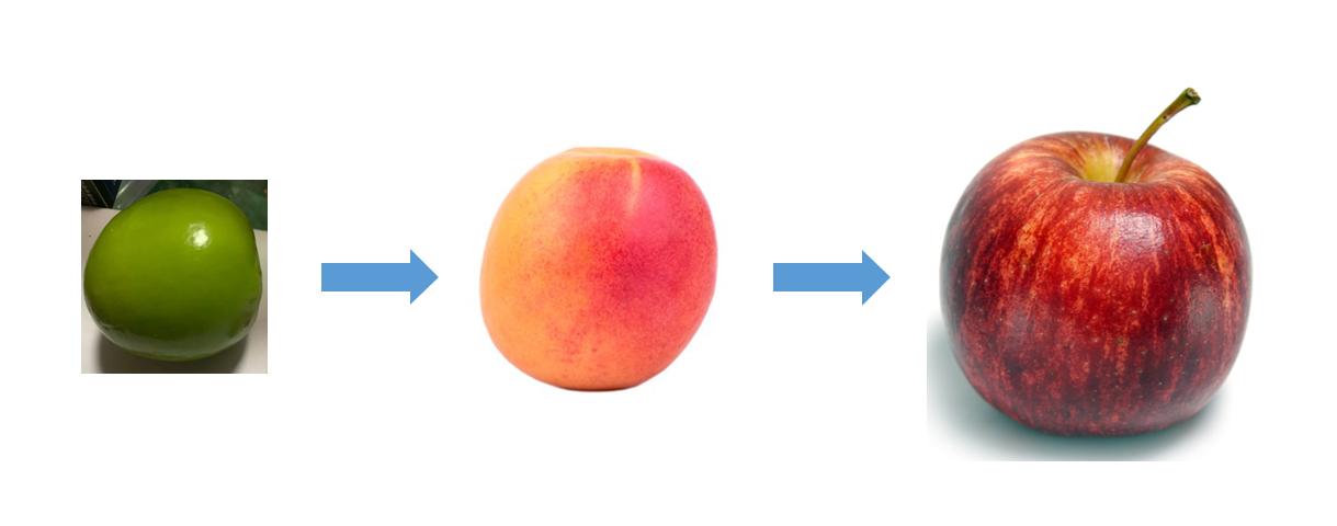 臀部上长个瘤子不疼不痒软软的,臀部上长一椭圆形不痛不痒的瘤子