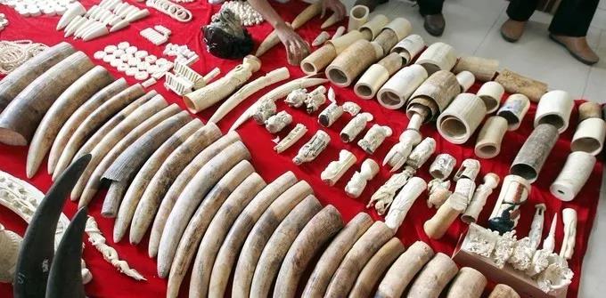 美国留学生被撤回后怎么样,美国留学生海关入境被遣返