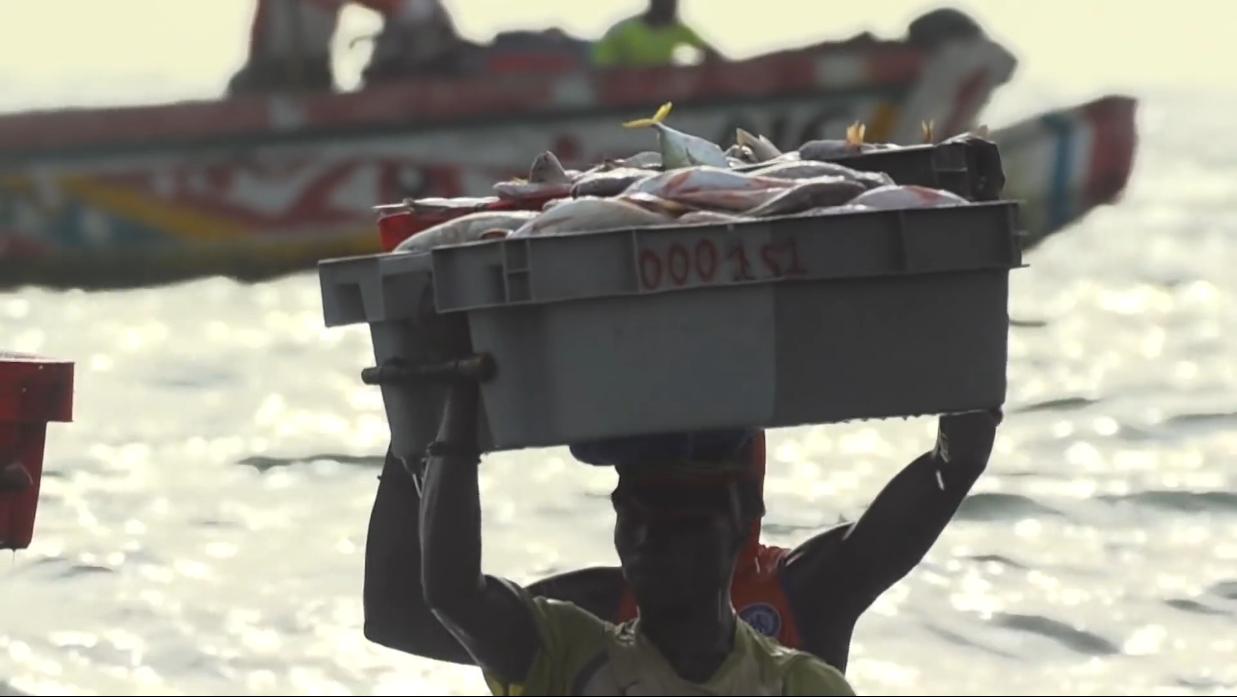 非洲小哥淘来法国二手车开出租，280公里只要47元，但要开12小时