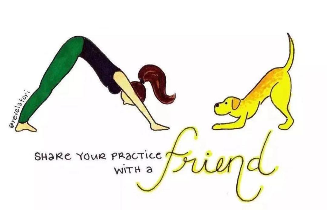 下犬式的脚后跟可以着地了,下犬式脚后跟触地