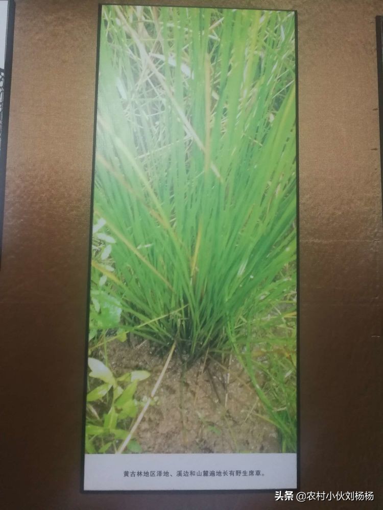 奉化溪口一日游攻略,奉化溪口一日游旅行社跟团多少钱