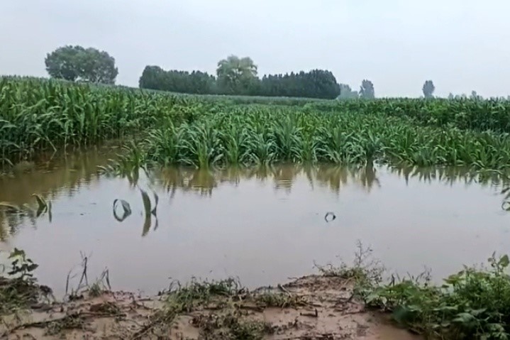 郑州暴雨悲惨视频,郑州一场暴雨后的生活
