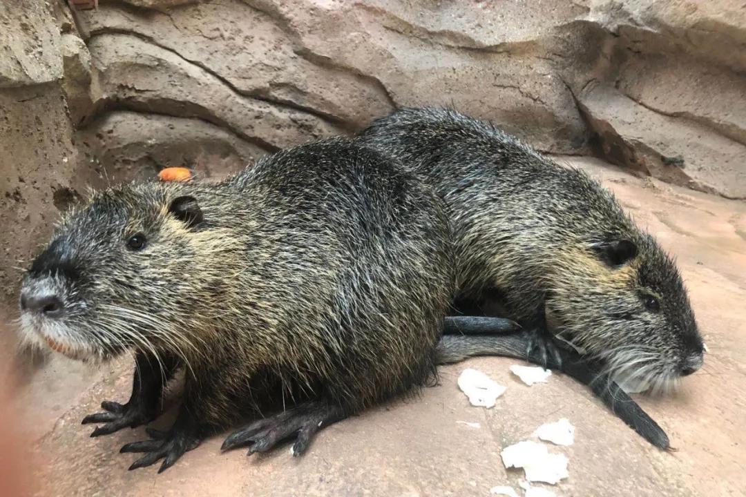 占地30000㎡！这艘建在安华汇天台上的巨船，竟是亲子乐园