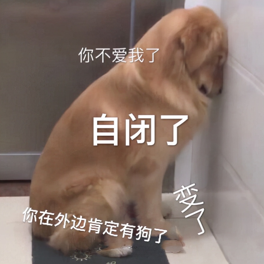 关于coach的知识点,coach究竟是个什么样的