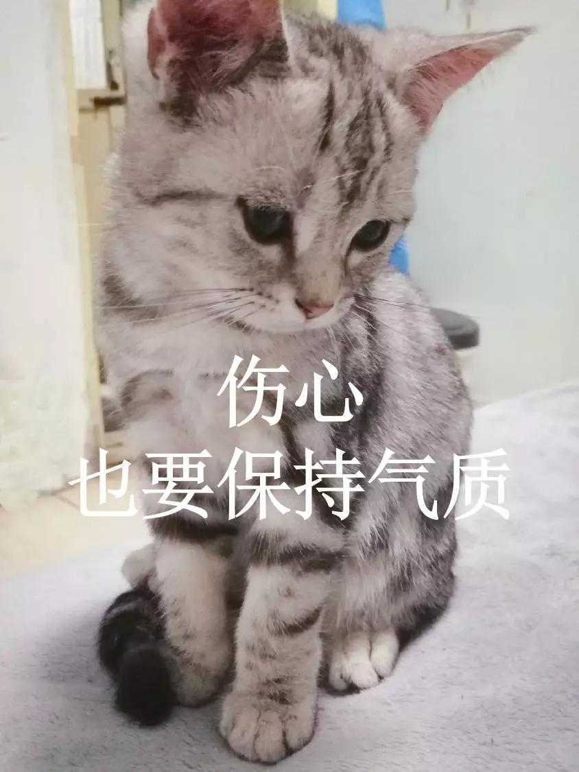 被前夫言语威胁恐吓怎么办,遇到前夫侮辱诋毁恐吓怎么办