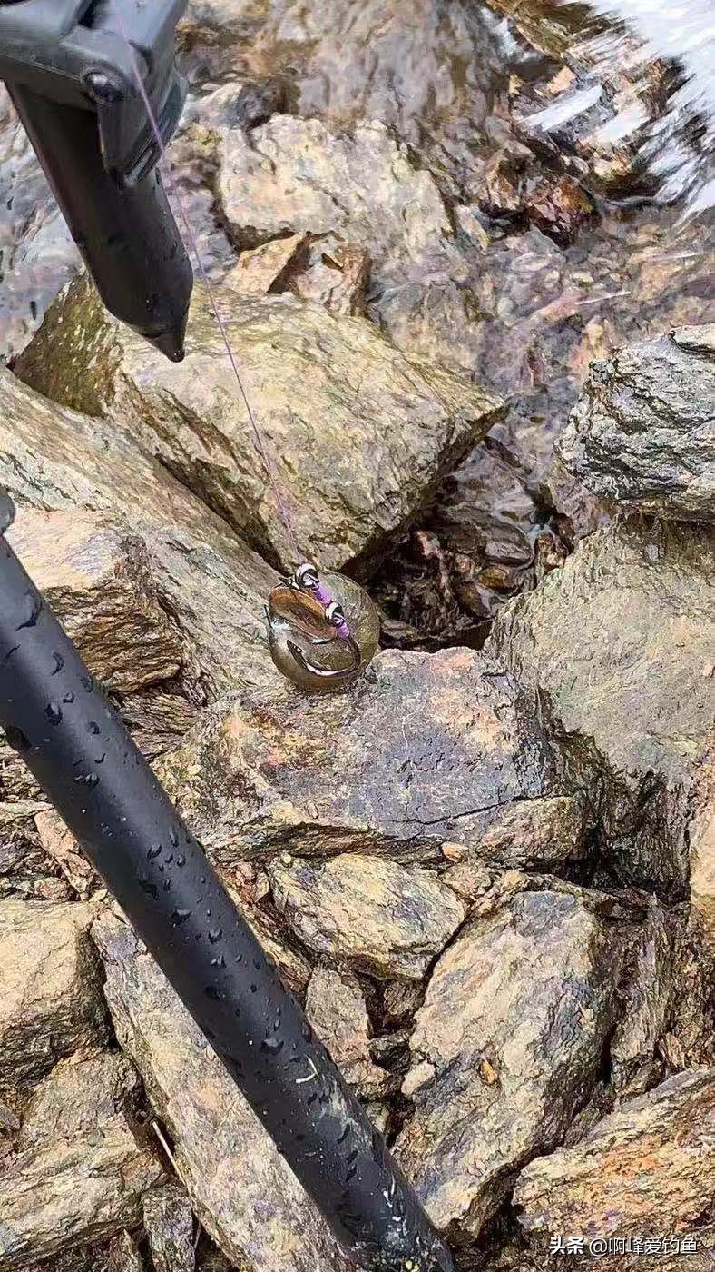 钓青鱼教程全过程,钓青鱼的技巧和方法讲解