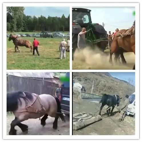 一马力就是一匹马的力量吗？一百马力的汽车能拉过一匹马吗？