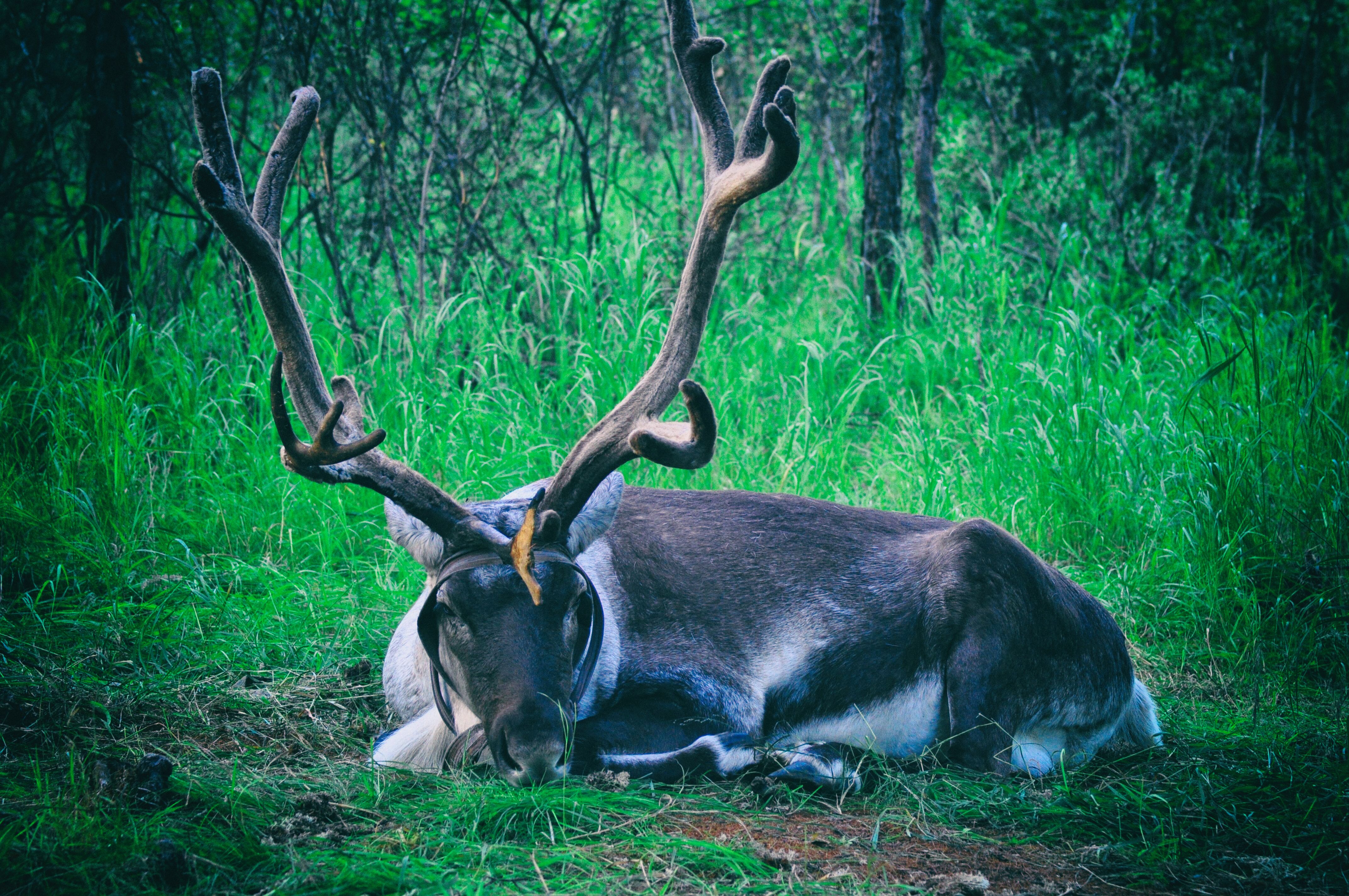 一次特别的东北旅行,历时18天的东北边境行