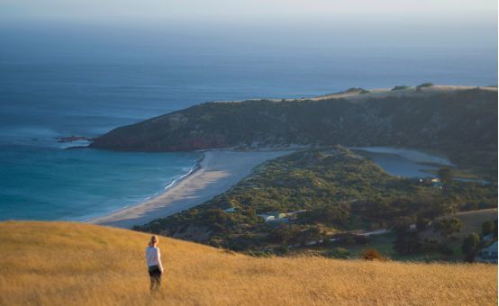 让黄晓明上瘾的南澳大利亚，到底有什么魔力？