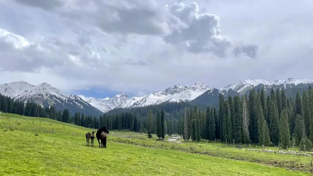 可以靠颜值偏要靠技术,能靠颜值偏靠实力
