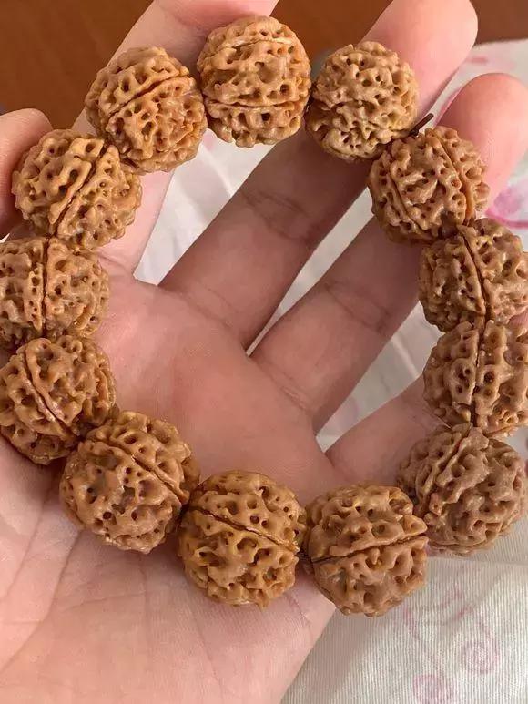 详细介绍一下金刚菩提的基础常识,盘玩金刚菩提有讲究这五点要了解