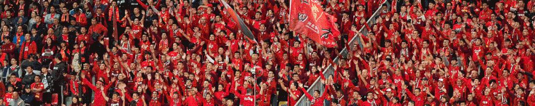 廊坊杨晓和公示,杨晓和公示廊坊