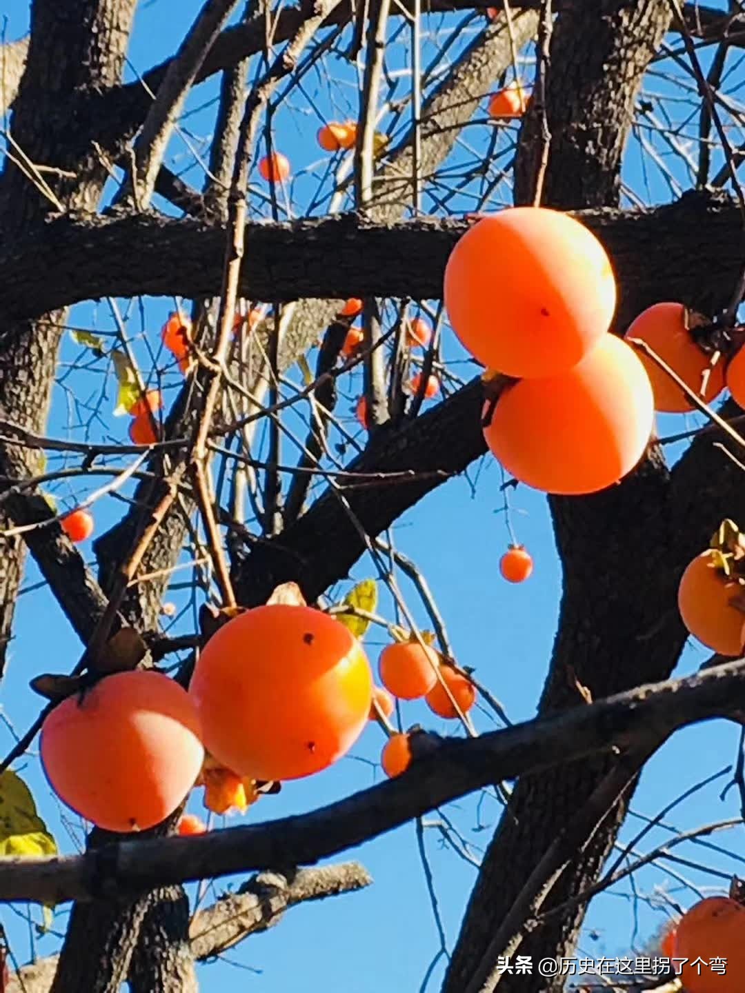 农耕文明看源头之十五：怪事年年有，晋穆侯一战打出个仇人和仇国