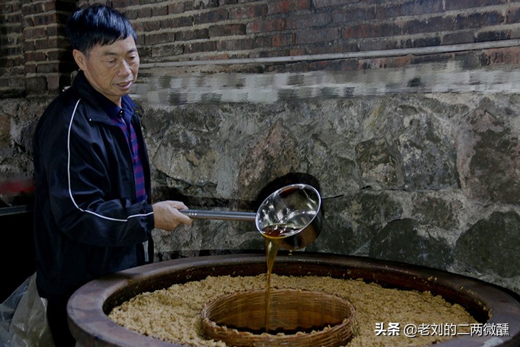 湖南6款“无名”自酿酒，每一款都十分稀奇，可惜知道的人却不多