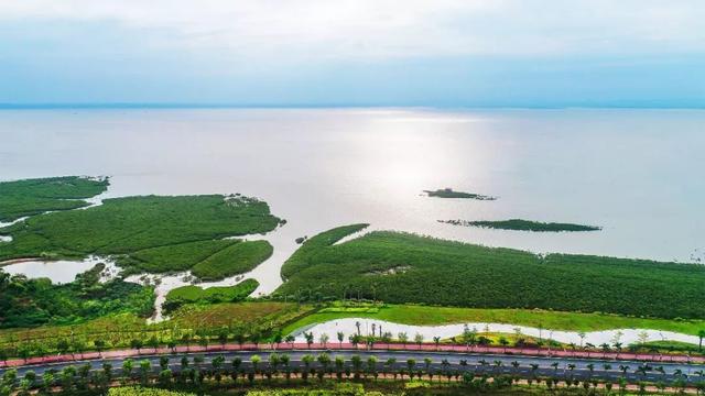 海陵岛适合投资吗,海陵岛投资前景