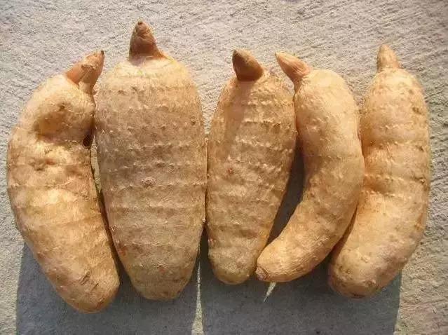 除夕夜火车票你买到了吗？别忘了把这些云南年味带回家哦