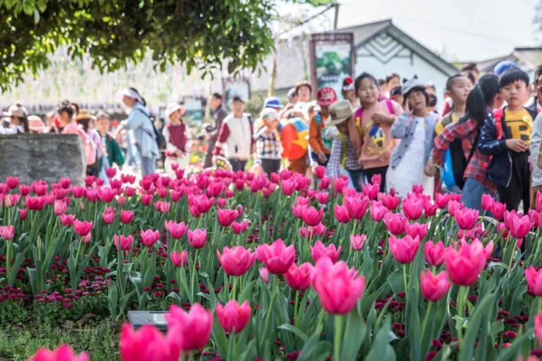 云赏直播中心,云赏直播