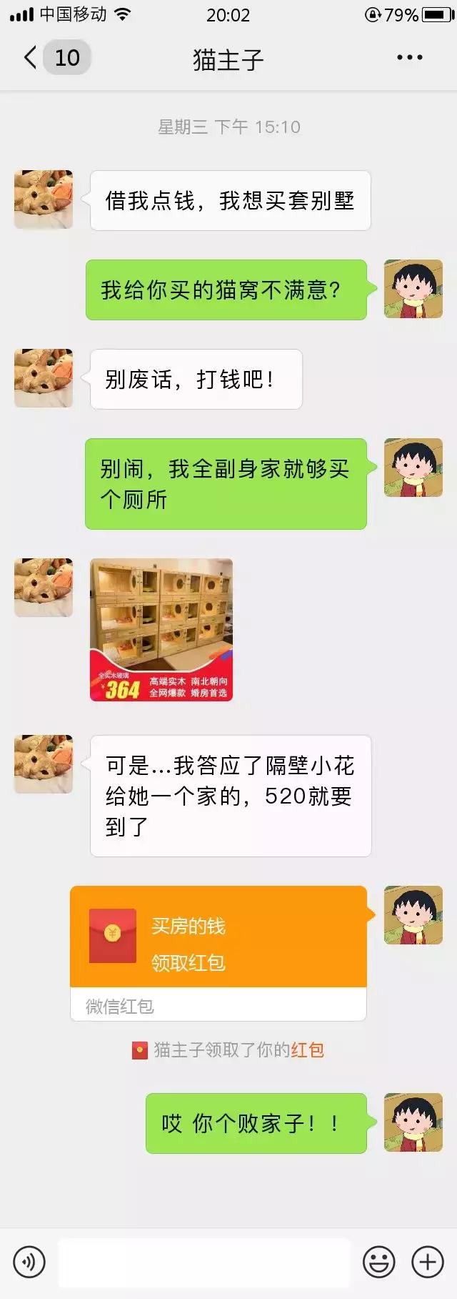 跟我家猫发微信，就像跟渣男在聊天