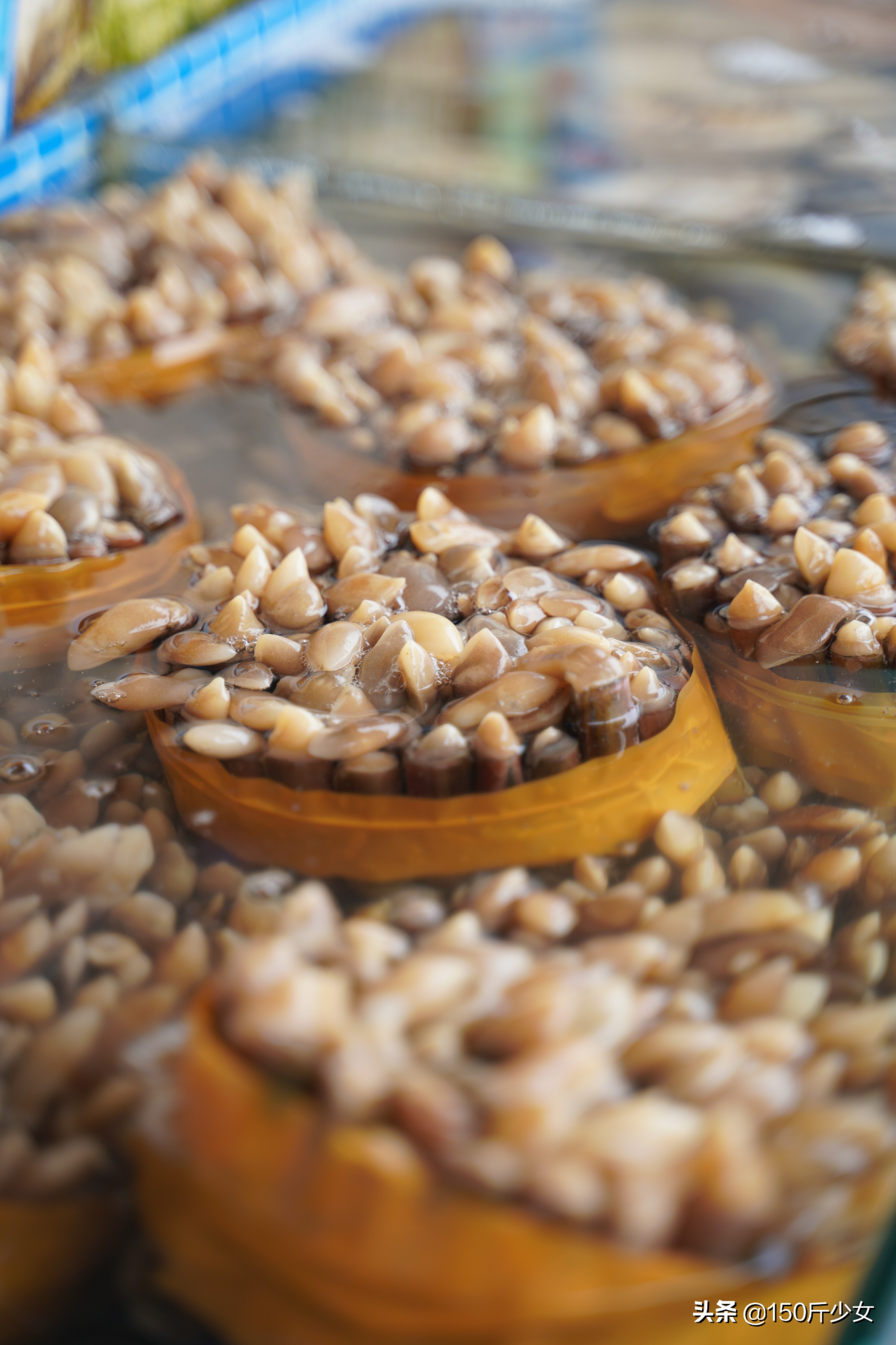 想念三亚的阳光和沙滩海浪,三亚期盼已久的大海