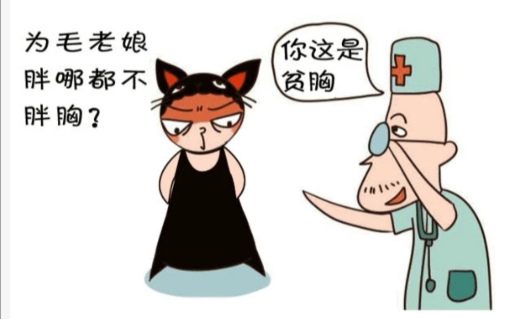 女生丰胸的十大好习惯,丰胸最重要是乳腺还是脂肪