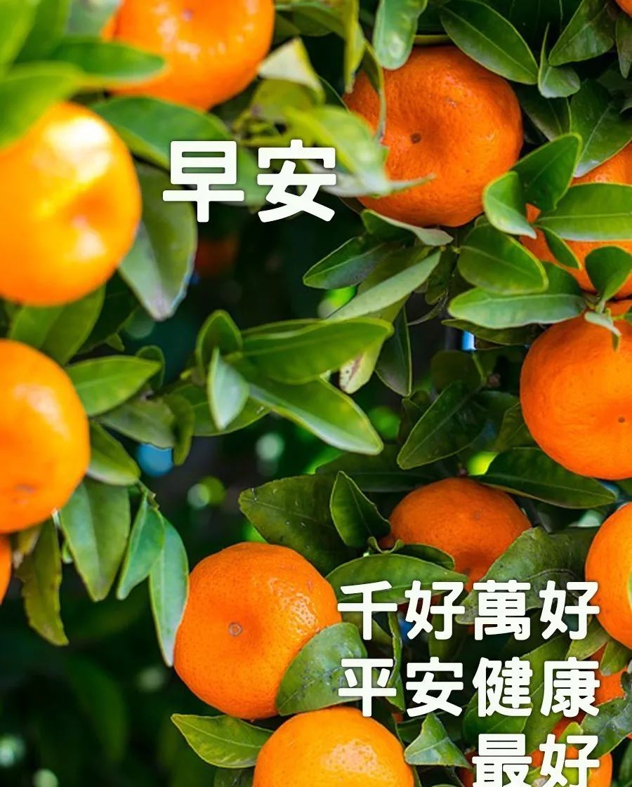 生活苦不苦看对生活的态度,生活累不累自己去体会早安