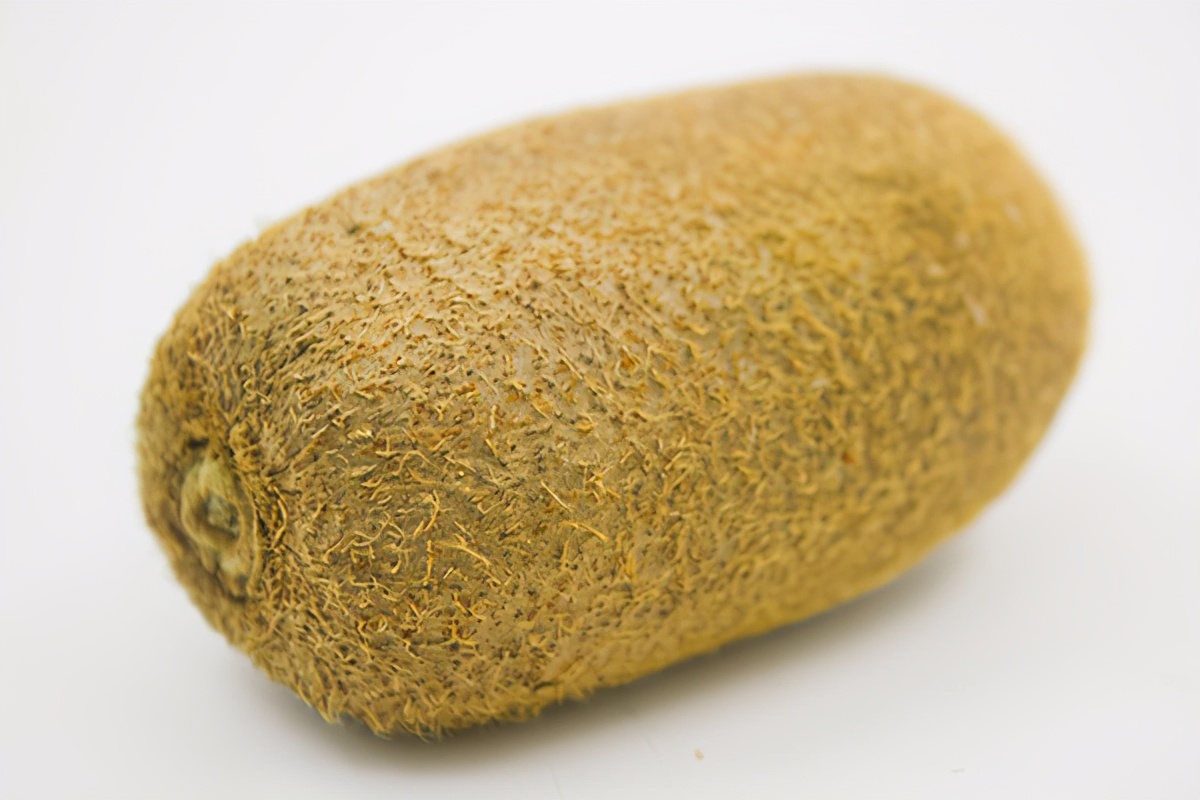 免疫力太弱怎么办,免疫力太强的体质如何调理