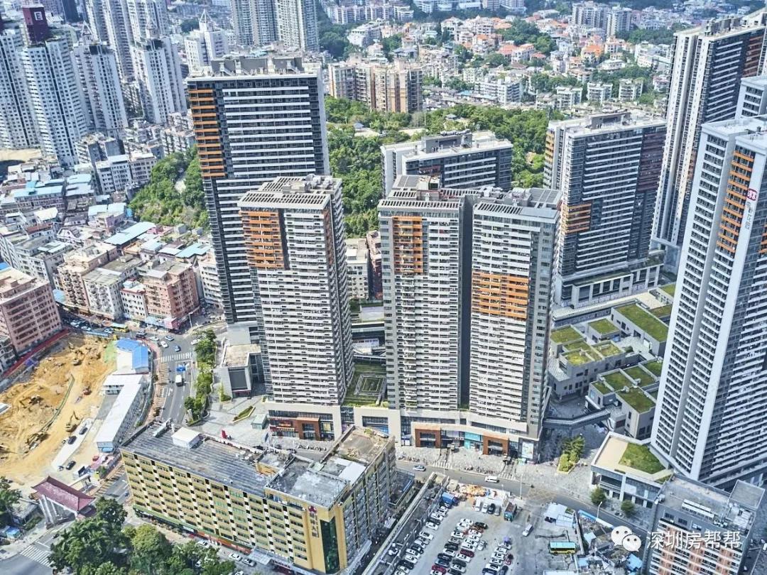 翠园中学东晓分校学区,翠园中学东晓校区学区划分图