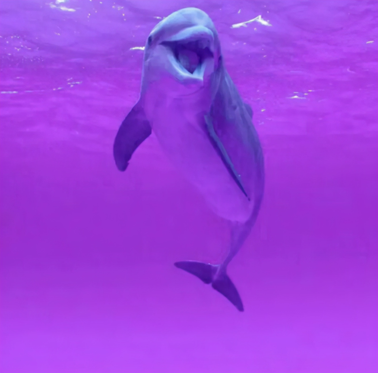 古代探案仵作类小说,破案推理小说古代一品仵作