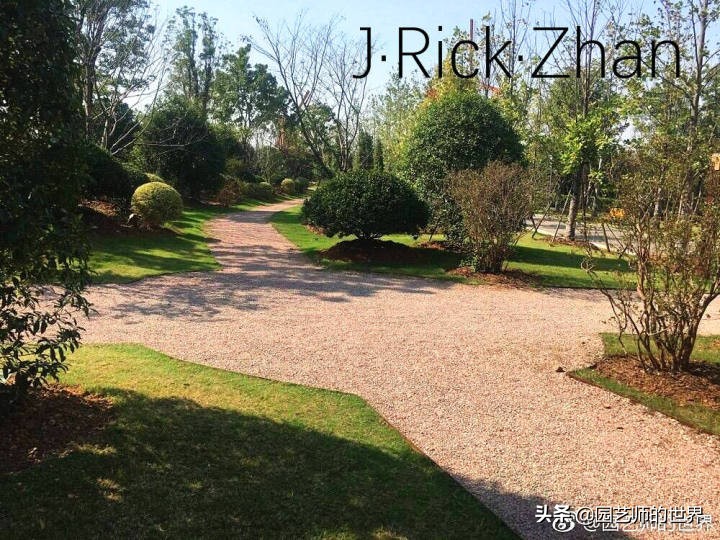 适合北方庭院种植的低矮草坪,家庭庭院怎样混搭种植草坪和蔬菜