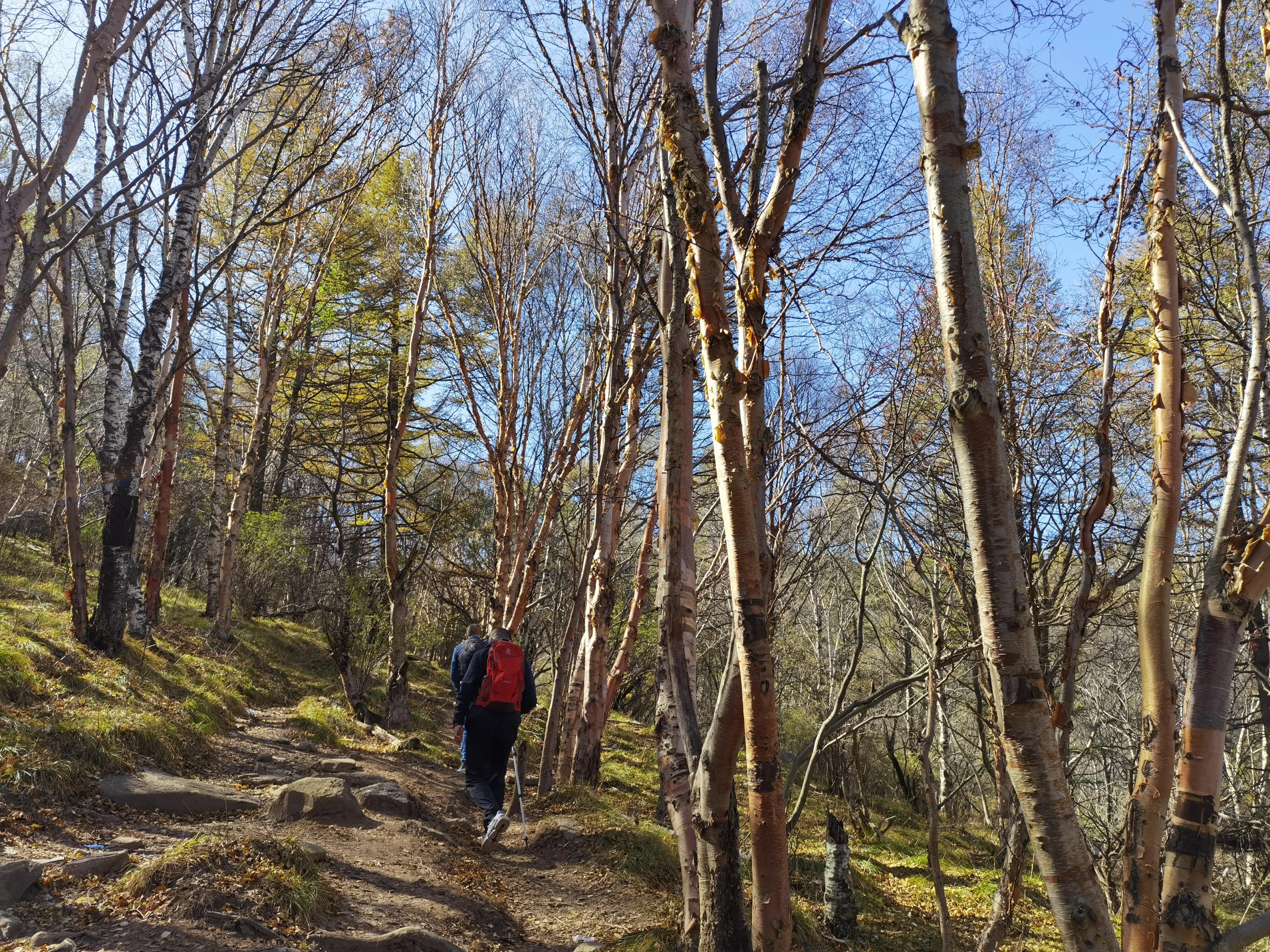 都知夏日驼梁美，秋季呢？阜平花塔村进山带您领略最美的秋日驼梁