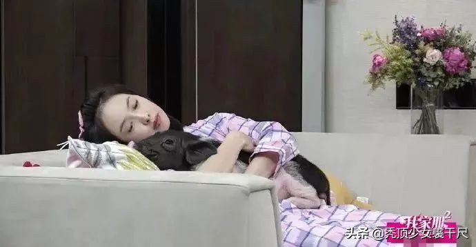 宋茜优雅随性彰显魅力,欣赏宋茜的正确打开方式