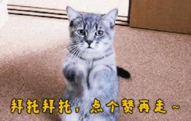 LOL：他曾和UZI齐名，拉黑过PDD，LPL首位5杀先生，如今已无消息