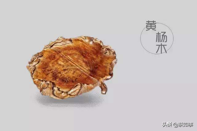 湿泡茶盘基本使用方法,茶叶湿泡应选择什么茶盘