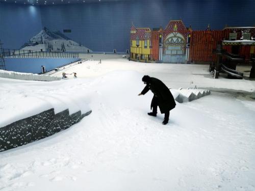 铭星冰雪世界,铭星冰雪天津分公司