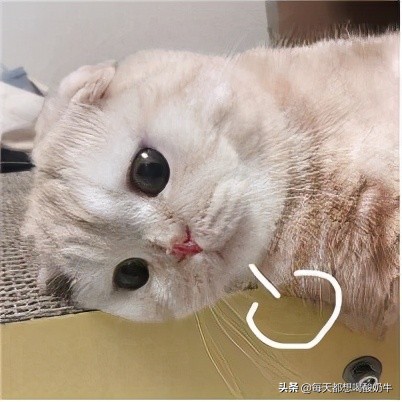 送媳妇什么礼物她会更开心,送女生什么会让女生开心