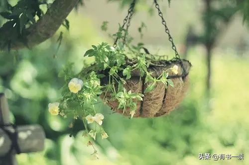 无边的失落与孤独海子诗歌,海子的诗孤独不可言说